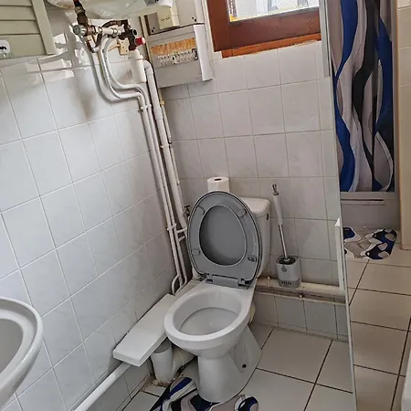 Or Rose 02 * トゥールーズ