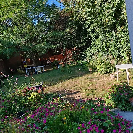 Or Rose 02 Тулуза